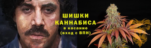 шишки Вяземский