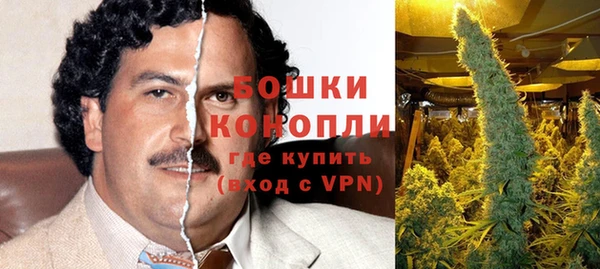 шишки Вяземский