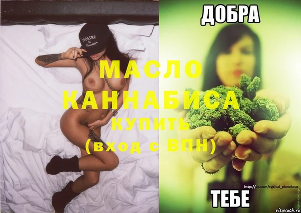 гидропоника Горняк