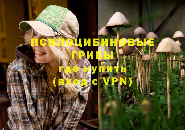 гидропоника Вязники