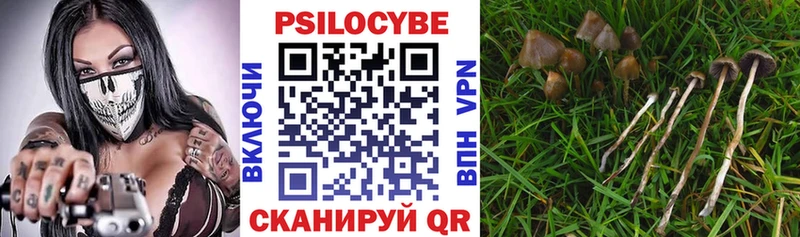Галлюциногенные грибы Magic Shrooms  Чебоксары 